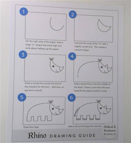 Rhino Drawing Guide 